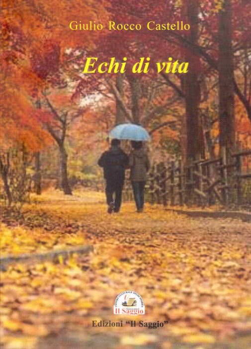 https://m.media-amazon.com/images/I/71RtKKX4eqL.jpg