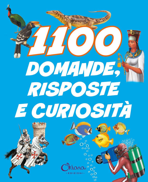 https://m.media-amazon.com/images/I/71RugkQAxdL.jpg