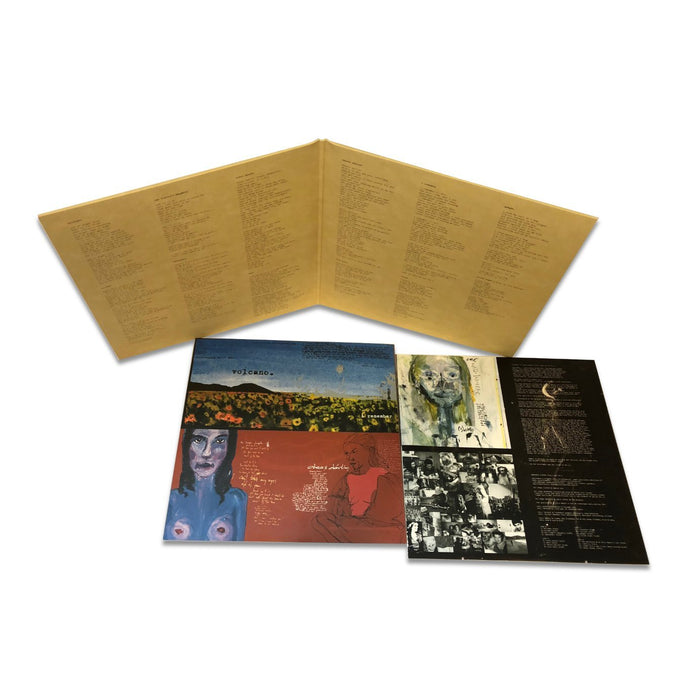 Damien Rice - O (2 Lp);