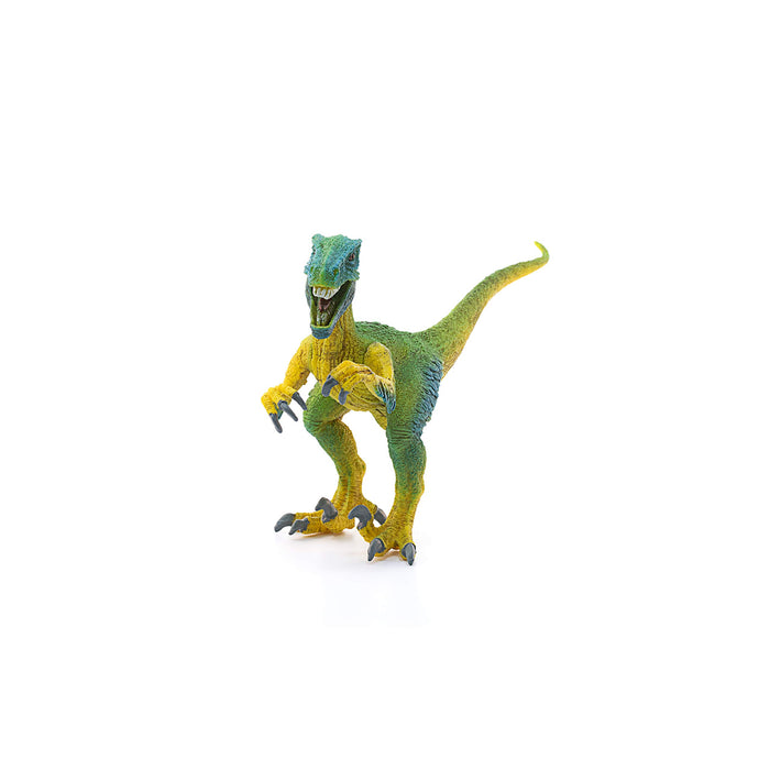 https://m.media-amazon.com/images/I/71SpaY0HKyL.jpg