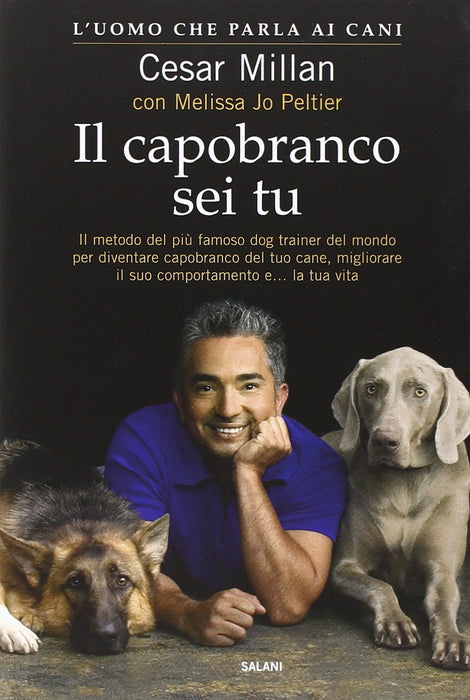 https://m.media-amazon.com/images/I/71T7U6lZrNL.jpg