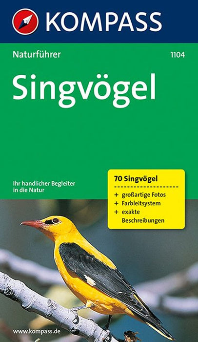 https://m.media-amazon.com/images/I/71TLqGLhmsL.jpg