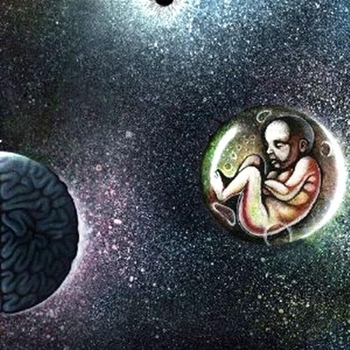 https://m.media-amazon.com/images/I/71U0c+uQLfL.jpg
