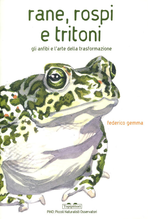 https://m.media-amazon.com/images/I/71UjmHEmxEL.jpg