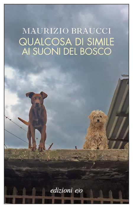 https://m.media-amazon.com/images/I/71UpVslCRxL.jpg