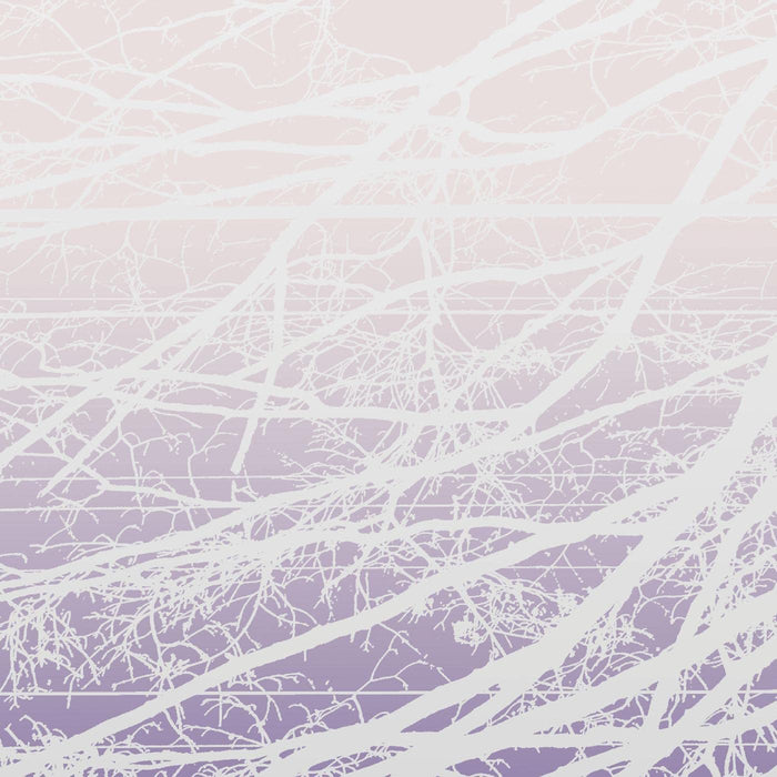Lea Bertucci - Metal Aether / Resonant Field (2 Lp);