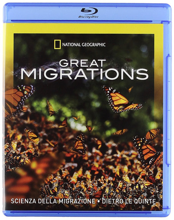 https://m.media-amazon.com/images/I/71VMTVZLIVL.jpg