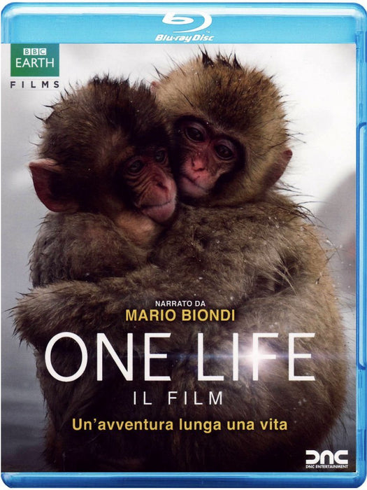 https://m.media-amazon.com/images/I/71VlAH0wiKL.jpg