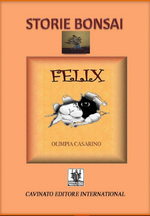 https://m.media-amazon.com/images/I/71WJJggb02L.jpg