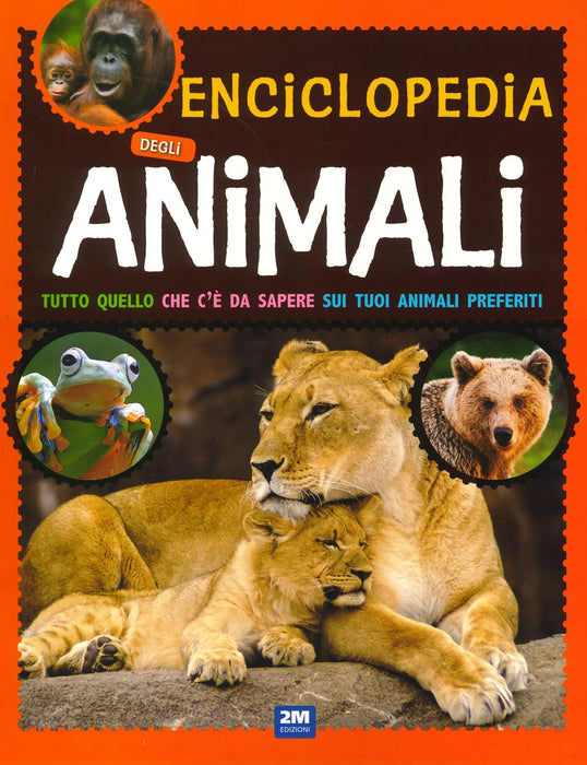 https://m.media-amazon.com/images/I/71WqGiRdt+L.jpg