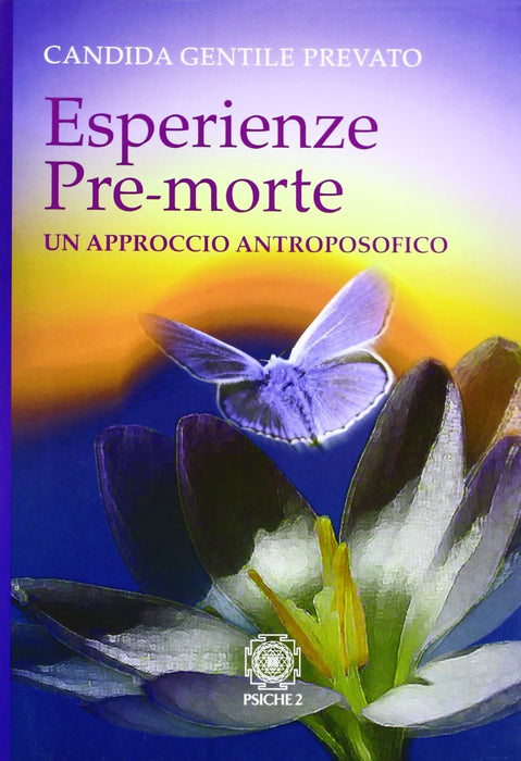 https://m.media-amazon.com/images/I/71X03VSIuJL.jpg