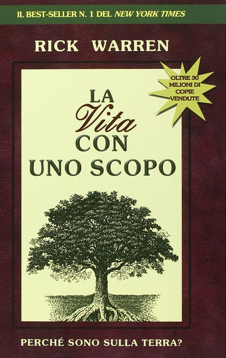 https://m.media-amazon.com/images/I/71XsebV6q6L.jpg