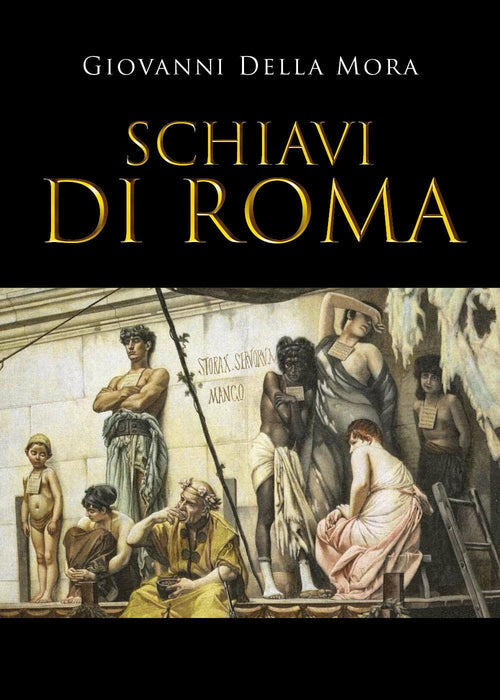 https://m.media-amazon.com/images/I/71Xwfv2q+LL.jpg