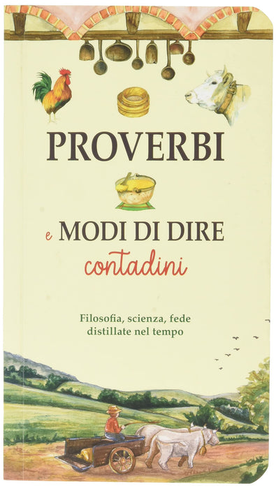 https://m.media-amazon.com/images/I/71YKWM+Yw9L.jpg