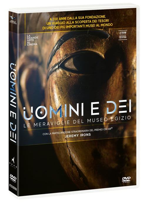 https://m.media-amazon.com/images/I/71Z3DLfdHgL.jpg