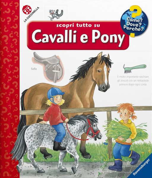 https://m.media-amazon.com/images/I/71Zo7mMAbJL.jpg