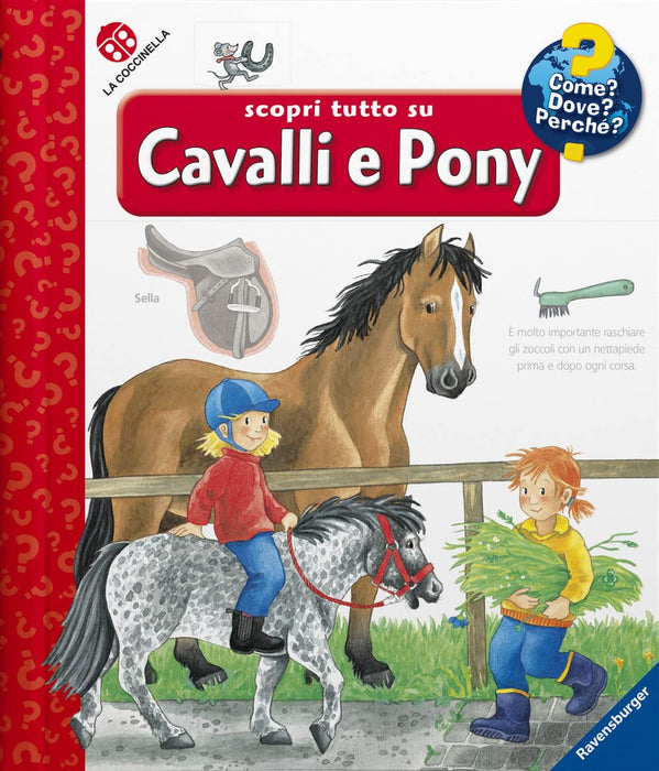 https://m.media-amazon.com/images/I/71Zo7mMAbJL.jpg