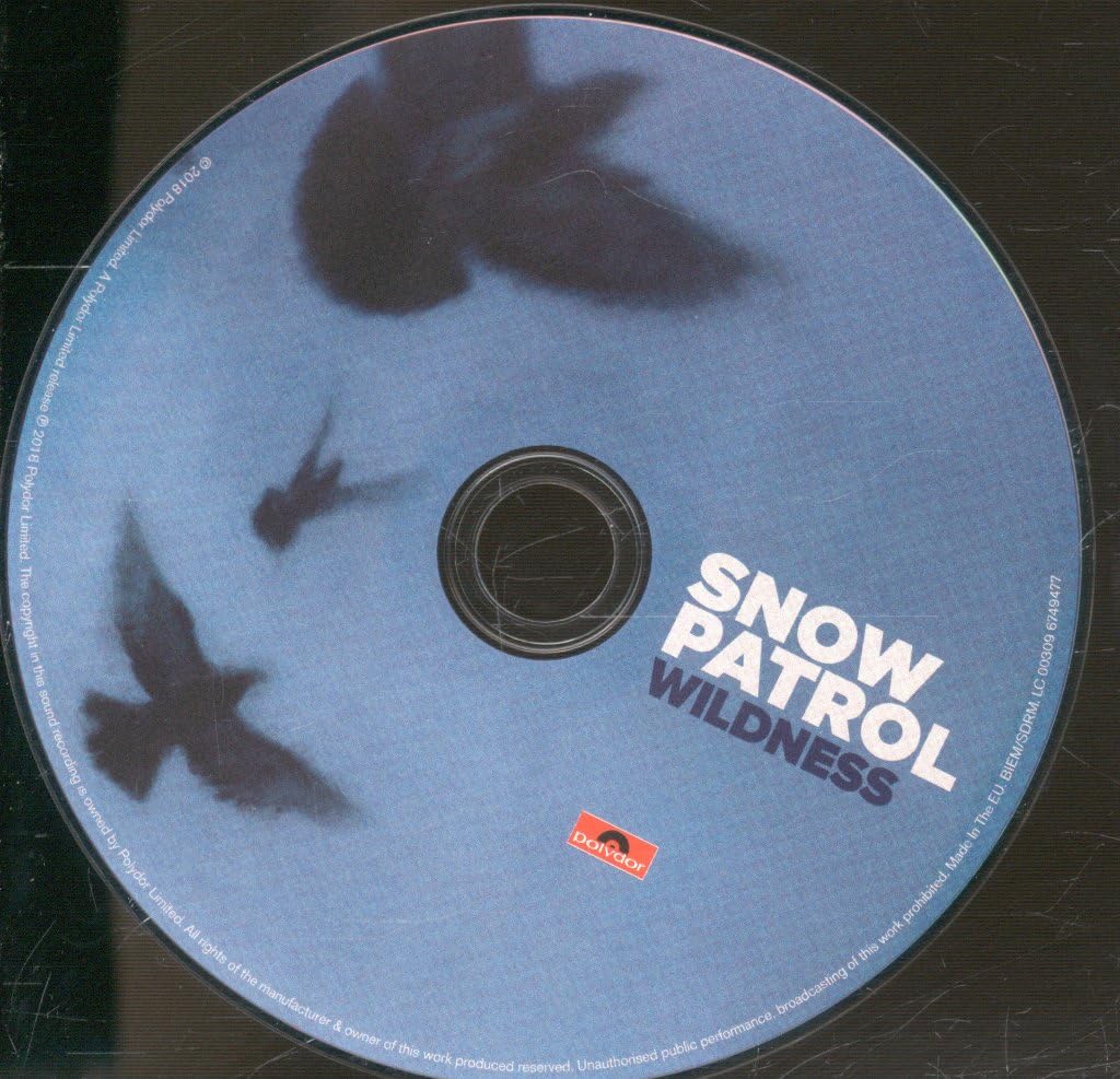 Snow Patrol - Wildness;