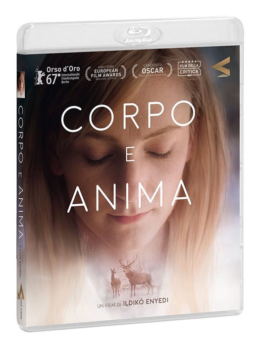 https://m.media-amazon.com/images/I/71+HMNvLmXL.jpg