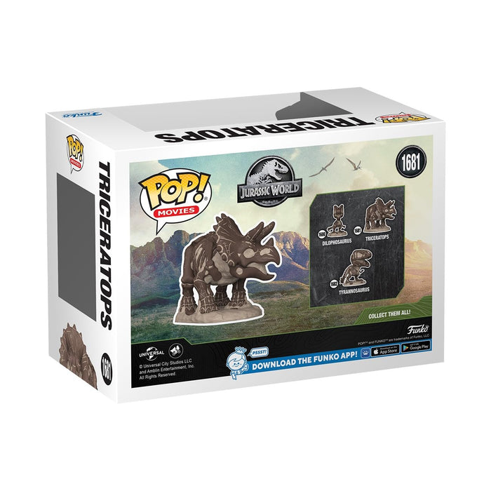https://m.media-amazon.com/images/I/71+Pn8kFm1L.jpg