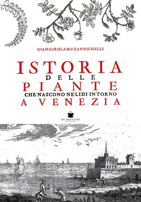 https://m.media-amazon.com/images/I/71+QvOAZLiS.jpg
