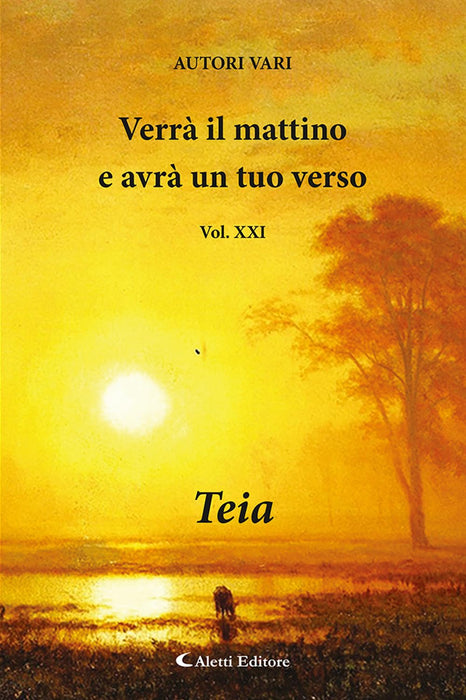 https://m.media-amazon.com/images/I/71+lqJ9PLUL.jpg