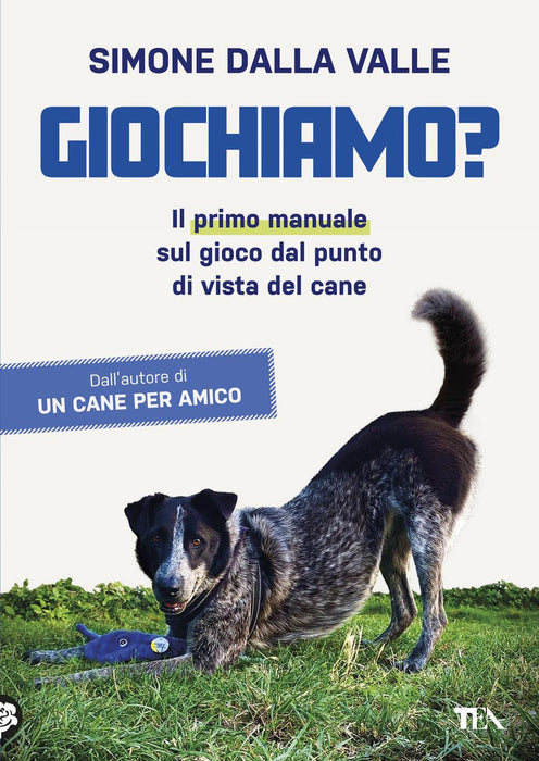 https://m.media-amazon.com/images/I/71cGGGcrhTL.jpg