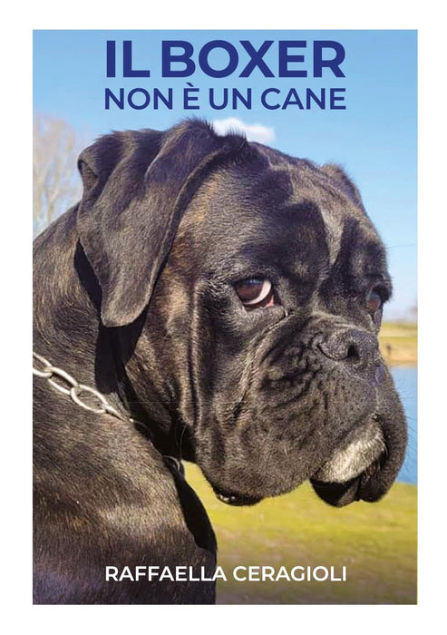 https://m.media-amazon.com/images/I/71cHgr-nUYL.jpg