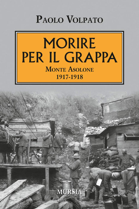 https://m.media-amazon.com/images/I/71dAx1fzacL.jpg