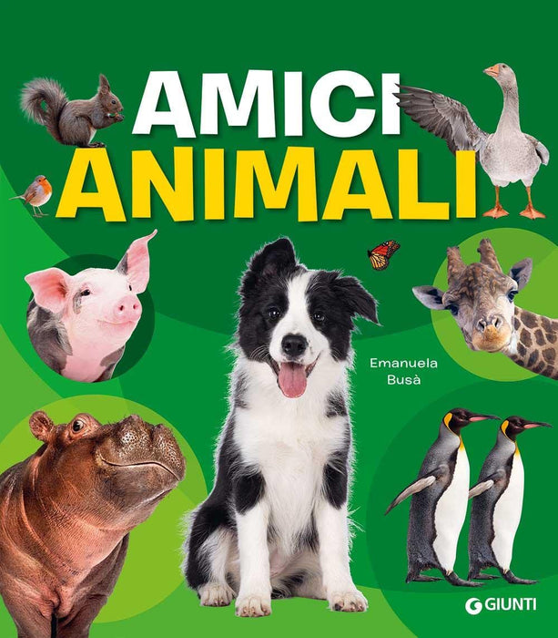 https://m.media-amazon.com/images/I/71dc8w7pOfL.jpg