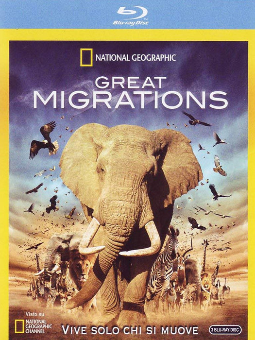 https://m.media-amazon.com/images/I/71eHJ+tYdtL.jpg