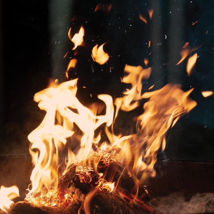 https://m.media-amazon.com/images/I/71fYX5oFsbL.jpg