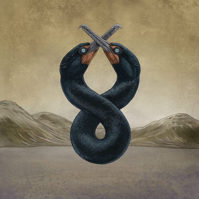 San Fermin - The Cormorant I & Ii;