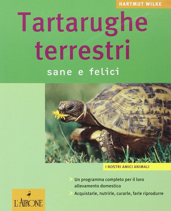 https://m.media-amazon.com/images/I/71gisncL1GL.jpg