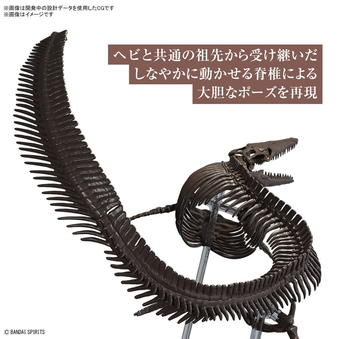 https://m.media-amazon.com/images/I/71gpSYU9p8L.jpg