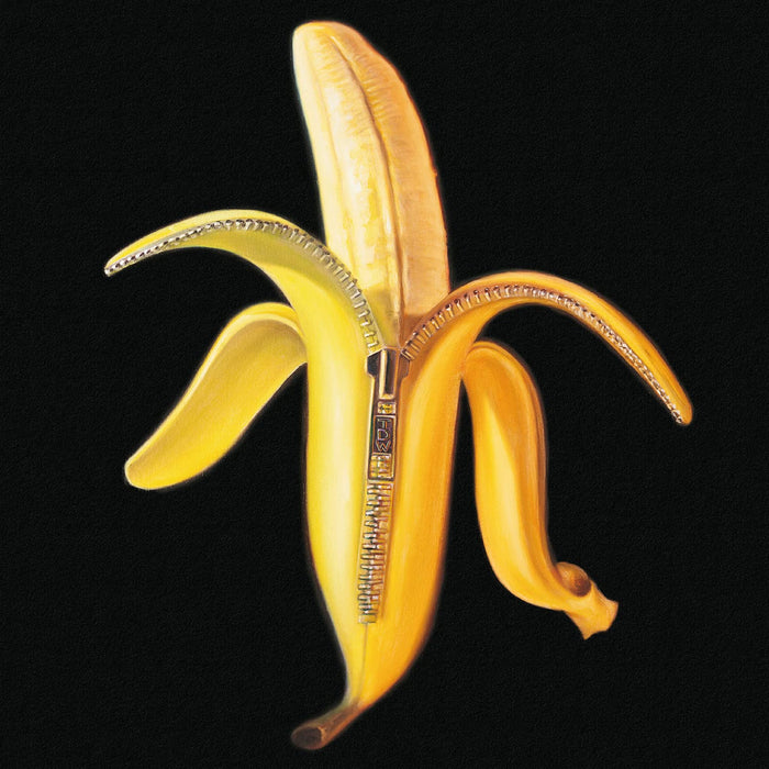 Dandy Warhols - Welcome To The Monkey;