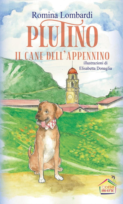 https://m.media-amazon.com/images/I/71h-IdDCFBL.jpg