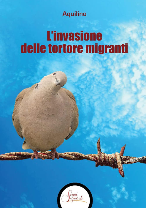 https://m.media-amazon.com/images/I/71h0L0mYZTS.jpg