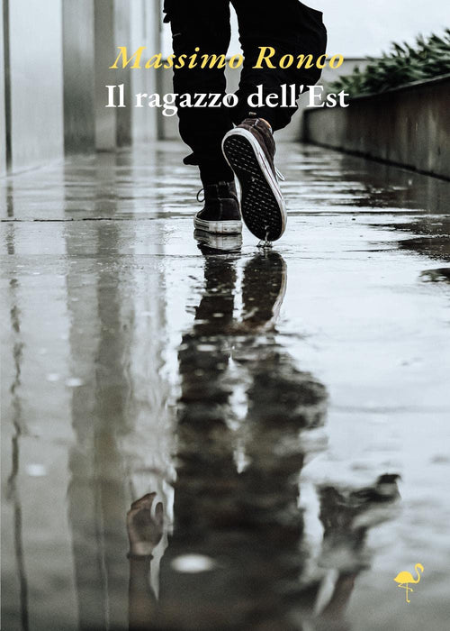 https://m.media-amazon.com/images/I/71huXybAQDL.jpg