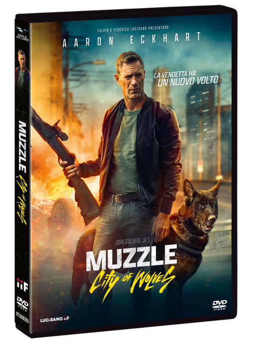 https://m.media-amazon.com/images/I/71iLMTR1D6L.jpg
