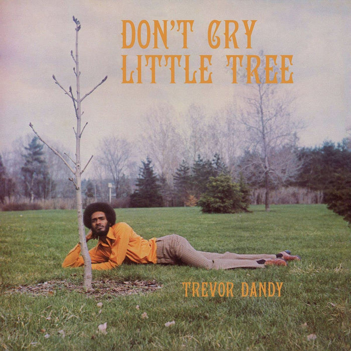 Trevor Dandy - Don'T Cry Little Tree;