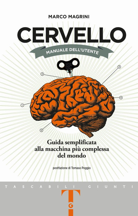 https://m.media-amazon.com/images/I/71j4RvKPzgL.jpg