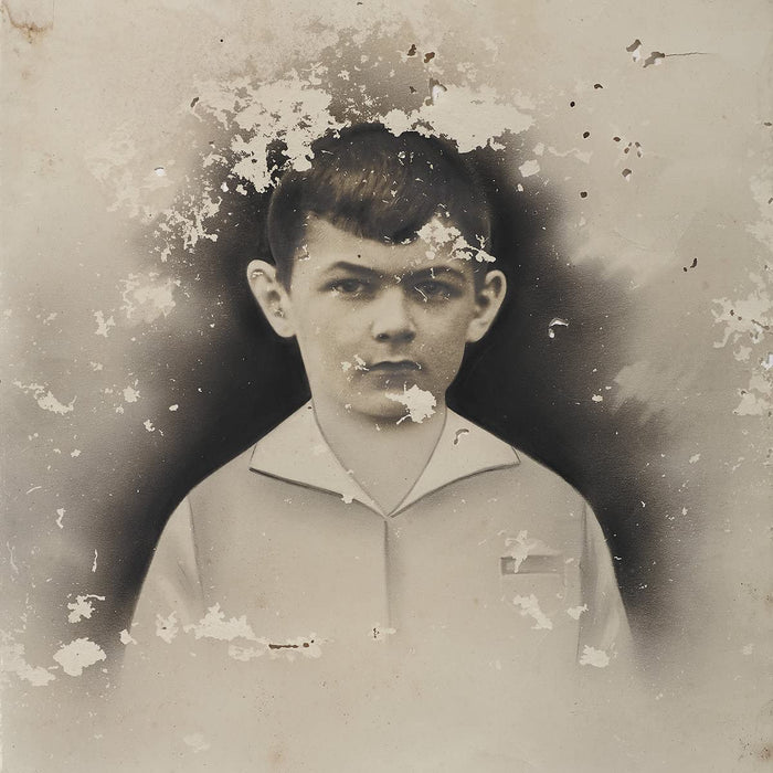 Emilie Levienaise-Farrouch - Ravage;