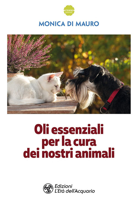 https://m.media-amazon.com/images/I/71nIRIuBroL.jpg