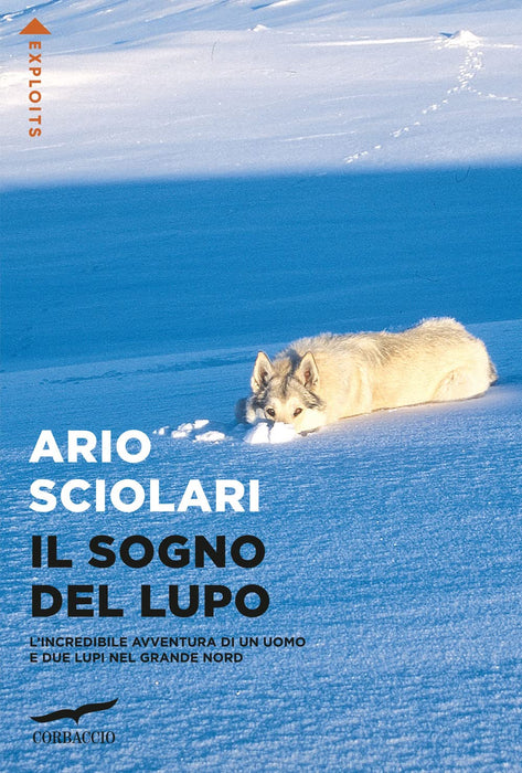 https://m.media-amazon.com/images/I/71nvNzwwAHL.jpg