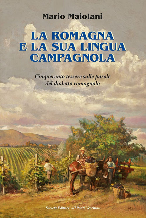 https://m.media-amazon.com/images/I/71nwKxirA+L.jpg