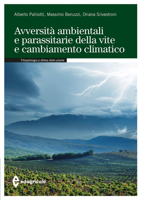 https://m.media-amazon.com/images/I/71oK35HtSaL.jpg