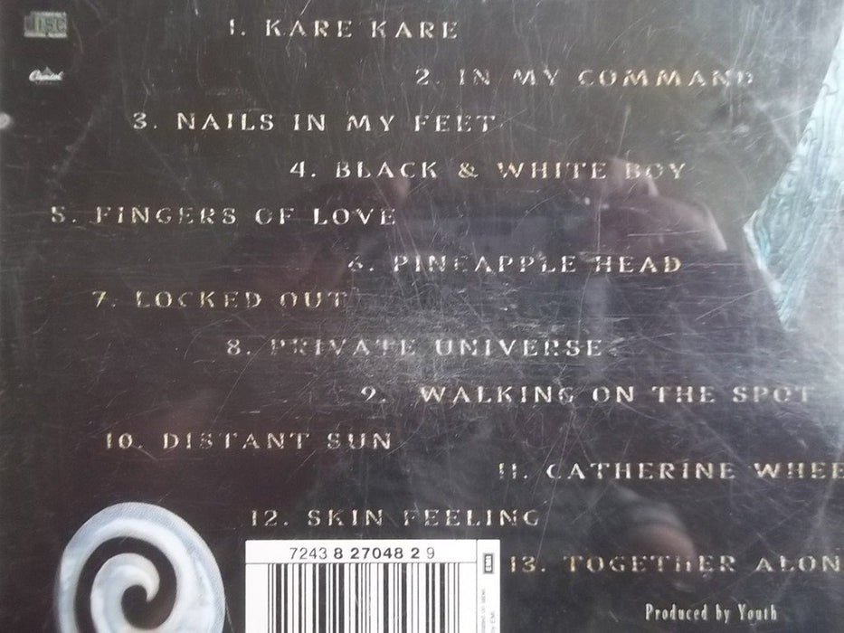 Crowded House - Together Alone;