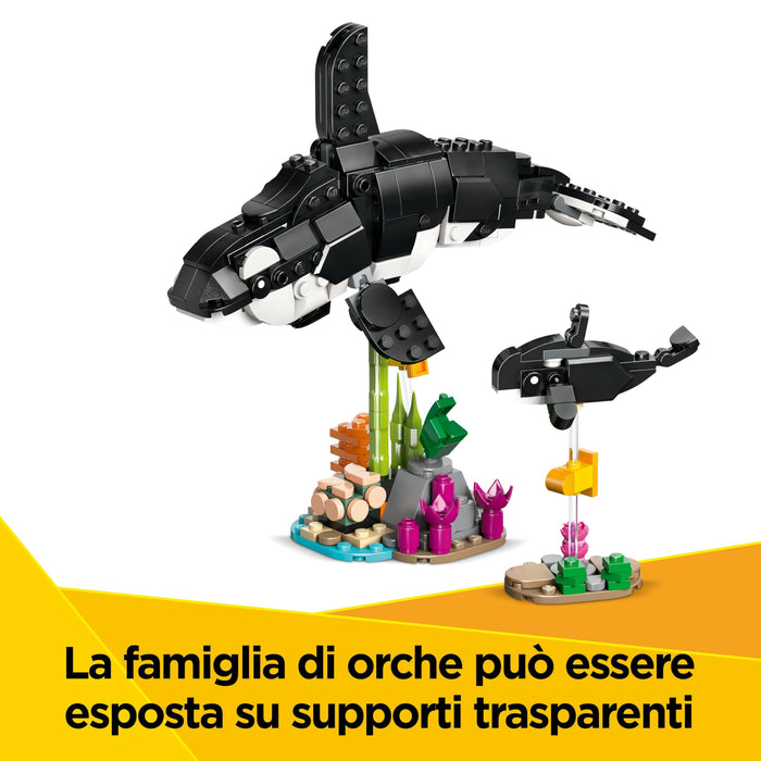 https://m.media-amazon.com/images/I/71p11osGM-L.jpg