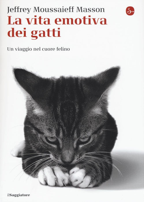 https://m.media-amazon.com/images/I/71pK8BY-+XL.jpg